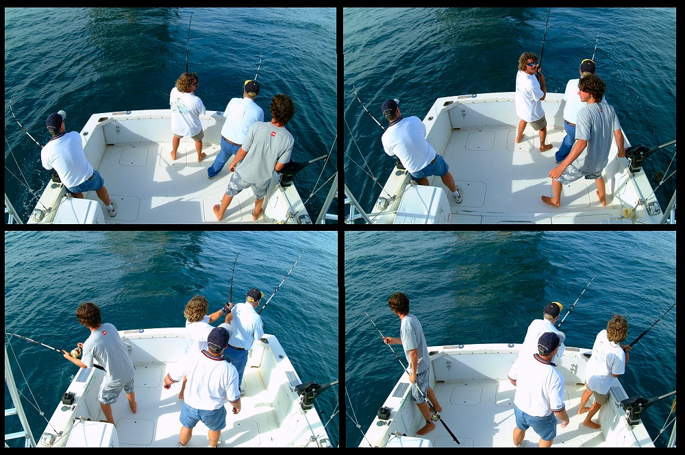 (09) montage (rig fishing).jpg   (1000x664)   378 Kb                                    Click to display next picture